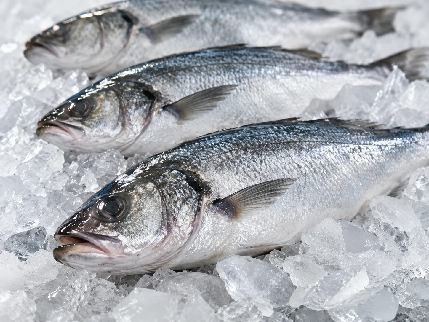 seafood product fish