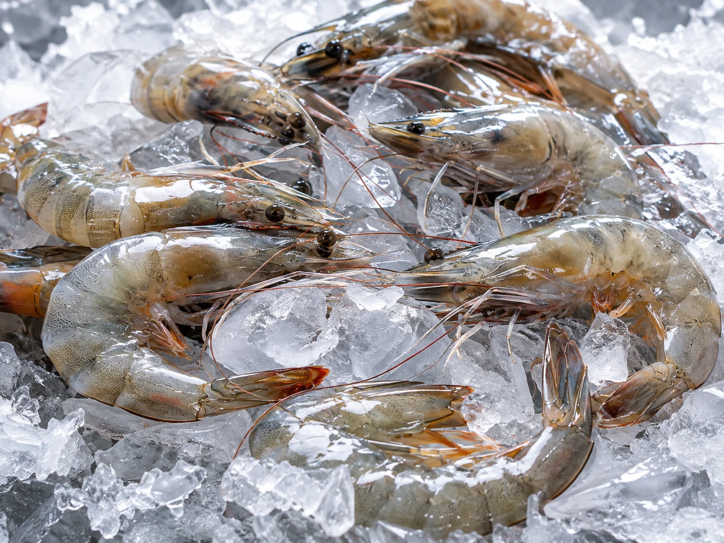 seafood product shrimp